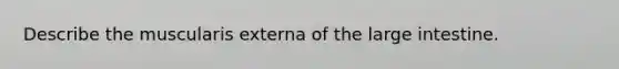 Describe the muscularis externa of the large intestine.