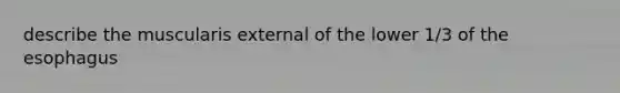 describe the muscularis external of the lower 1/3 of the esophagus