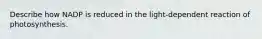 Describe how NADP is reduced in the light-dependent reaction of photosynthesis.