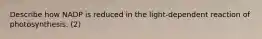 Describe how NADP is reduced in the light-dependent reaction of photosynthesis. (2)