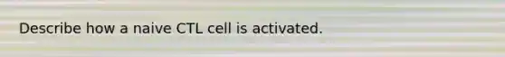 Describe how a naive CTL cell is activated.