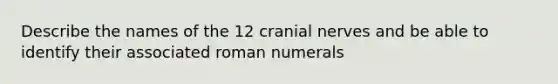 Describe the names of the 12 cranial nerves and be able to identify their associated roman numerals