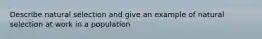 Describe natural selection and give an example of natural selection at work in a population