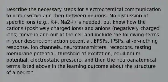 Describe the necessary steps for electrochemical communication to occur within and then between neurons. No discussion of specific ions (e.g., K+, Na2+) is needed, but know how the cations (positively-charged ions) and anions (negatively-charged ions) move in and out of the cell and include the following terms in your description: action potential, EPSPs, IPSPs, all-or-nothing response, ion channels, neurotransmitters, receptors, resting membrane potential, threshold of excitation, equilibrium potential, electrostatic pressure, and then the neuroanatomical terms listed above in the learning outcome about the structure of a neuron.