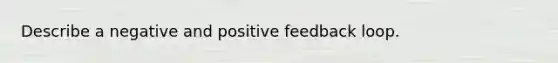 Describe a negative and positive feedback loop.