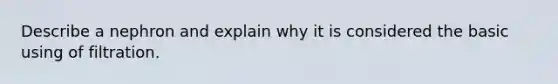 Describe a nephron and explain why it is considered the basic using of filtration.