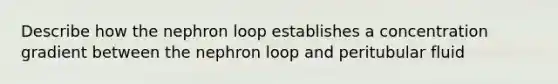 Describe how the nephron loop establishes a concentration gradient between the nephron loop and peritubular fluid