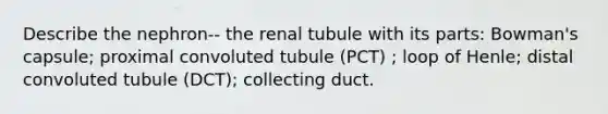 Describe the nephron-- the renal tubule with its parts: Bowman's capsule; proximal convoluted tubule (PCT) ; loop of Henle; distal convoluted tubule (DCT); collecting duct.