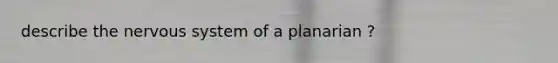 describe the nervous system of a planarian ?