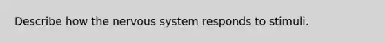 Describe how the <a href='https://www.questionai.com/knowledge/kThdVqrsqy-nervous-system' class='anchor-knowledge'>nervous system</a> responds to stimuli.