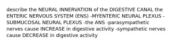 describe the NEURAL INNERVATION of the DIGESTIVE CANAL the ENTERIC NERVOUS SYSTEM (ENS) -MYENTERIC NEURAL PLEXUS -SUBMUCOSAL NEURAL PLEXUS -the ANS -parasympathetic nerves cause INCREASE in digestive activity -sympathetic nerves cause DECREASE in digestive activity