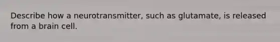 Describe how a neurotransmitter, such as glutamate, is released from a brain cell.