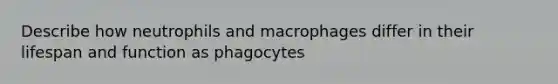 Describe how neutrophils and macrophages differ in their lifespan and function as phagocytes