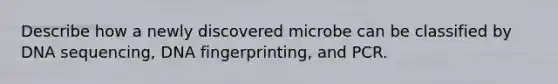 Describe how a newly discovered microbe can be classified by DNA sequencing, DNA fingerprinting, and PCR.