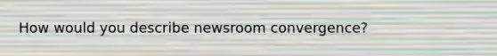 How would you describe newsroom convergence?