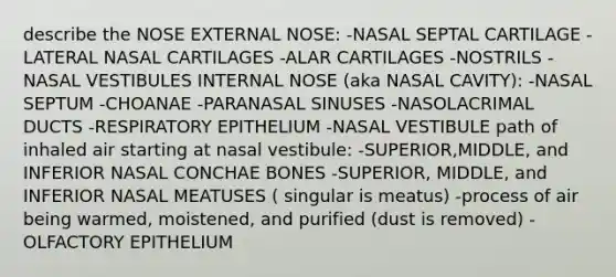 describe the NOSE EXTERNAL NOSE: -NASAL SEPTAL CARTILAGE -LATERAL NASAL CARTILAGES -ALAR CARTILAGES -NOSTRILS -NASAL VESTIBULES INTERNAL NOSE (aka NASAL CAVITY): -NASAL SEPTUM -CHOANAE -PARANASAL SINUSES -NASOLACRIMAL DUCTS -RESPIRATORY EPITHELIUM -NASAL VESTIBULE path of inhaled air starting at nasal vestibule: -SUPERIOR,MIDDLE, and INFERIOR NASAL CONCHAE BONES -SUPERIOR, MIDDLE, and INFERIOR NASAL MEATUSES ( singular is meatus) -process of air being warmed, moistened, and purified (dust is removed) -OLFACTORY EPITHELIUM