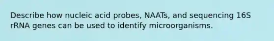 Describe how nucleic acid probes, NAATs, and sequencing 16S rRNA genes can be used to identify microorganisms.