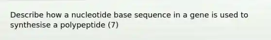 Describe how a nucleotide base sequence in a gene is used to synthesise a polypeptide (7)