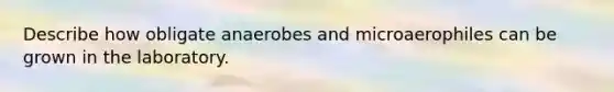 Describe how obligate anaerobes and microaerophiles can be grown in the laboratory.