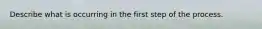 Describe what is occurring in the first step of the process.
