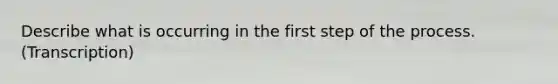 Describe what is occurring in the first step of the process. (Transcription)