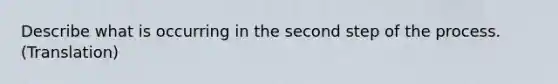 Describe what is occurring in the second step of the process. (Translation)