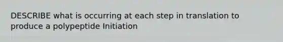 DESCRIBE what is occurring at each step in translation to produce a polypeptide Initiation