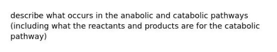 describe what occurs in the anabolic and catabolic pathways (including what the reactants and products are for the catabolic pathway)