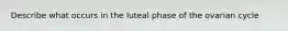 Describe what occurs in the luteal phase of the ovarian cycle