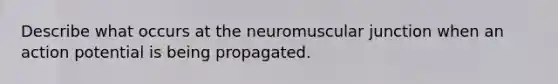 Describe what occurs at the neuromuscular junction when an action potential is being propagated.