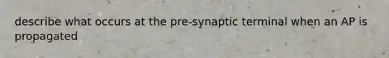 describe what occurs at the pre-synaptic terminal when an AP is propagated