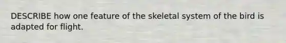 DESCRIBE how one feature of the skeletal system of the bird is adapted for flight.