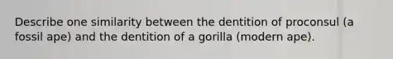 Describe one similarity between the dentition of proconsul (a fossil ape) and the dentition of a gorilla (modern ape).