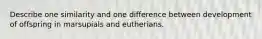 Describe one similarity and one difference between development of offspring in marsupials and eutherians.