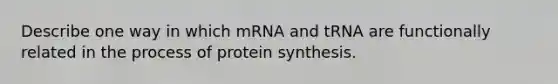 Describe one way in which mRNA and tRNA are functionally related in the process of protein synthesis.