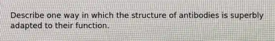 Describe one way in which the structure of antibodies is superbly adapted to their function.