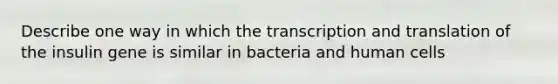 Describe one way in which the transcription and translation of the insulin gene is similar in bacteria and human cells