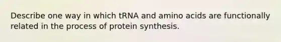 Describe one way in which tRNA and amino acids are functionally related in the process of protein synthesis.