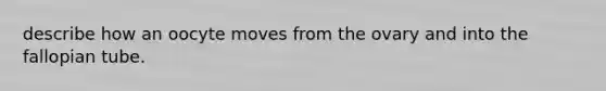 describe how an oocyte moves from the ovary and into the fallopian tube.