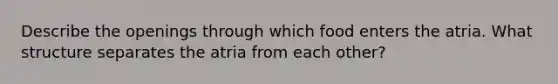 Describe the openings through which food enters the atria. What structure separates the atria from each other?