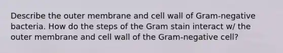 Describe the outer membrane and cell wall of Gram-negative bacteria. How do the steps of the Gram stain interact w/ the outer membrane and cell wall of the Gram-negative cell?