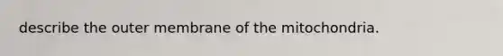 describe the outer membrane of the mitochondria.