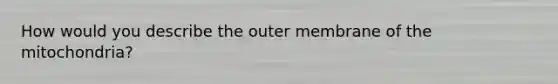 How would you describe the outer membrane of the mitochondria?