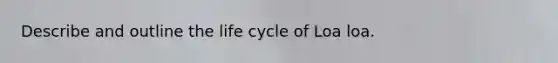 Describe and outline the life cycle of Loa loa.