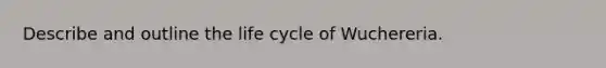 Describe and outline the life cycle of Wuchereria.