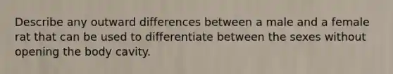 Describe any outward differences between a male and a female rat that can be used to differentiate between the sexes without opening the body cavity.