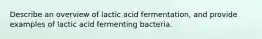 Describe an overview of lactic acid fermentation, and provide examples of lactic acid fermenting bacteria.