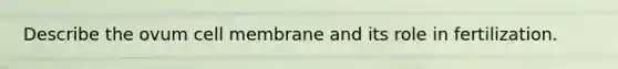 Describe the ovum cell membrane and its role in fertilization.
