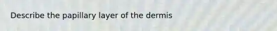 Describe the papillary layer of the dermis