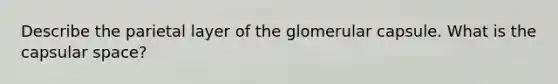 Describe the parietal layer of the glomerular capsule. What is the capsular space?